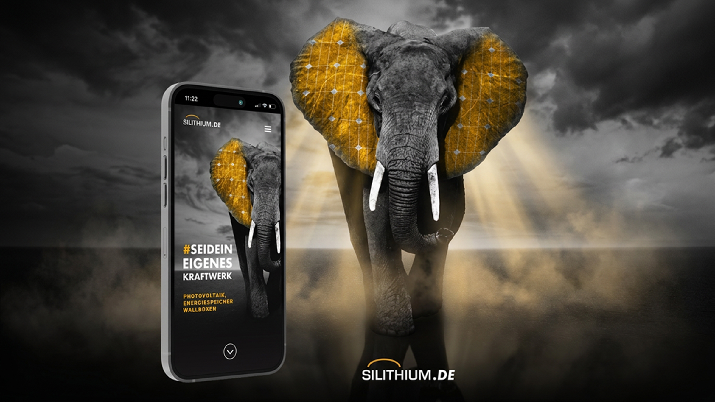 Silithium Case Study